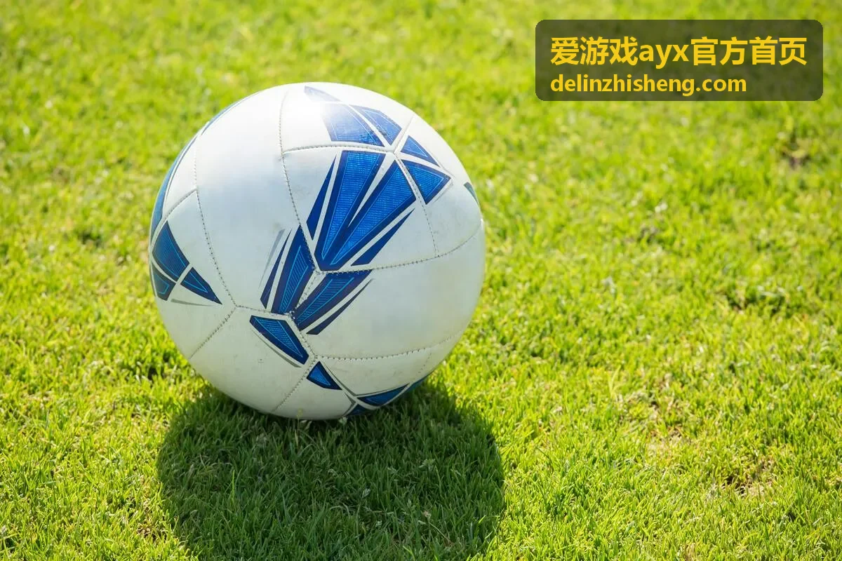 爱游戏ayx官方首页新手指引封面