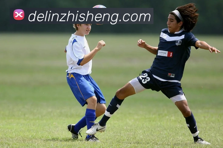 App Interface Preview